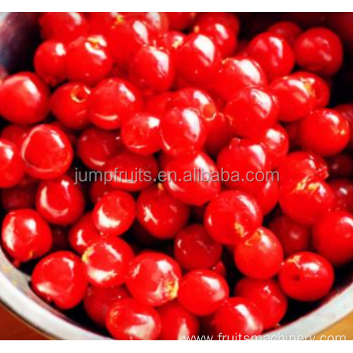 Commercial or Industrial use cherry pitter machine